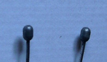 kugnipp